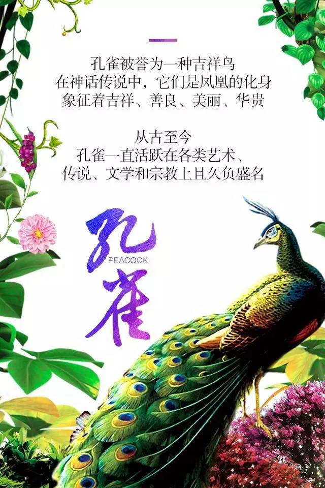【915-918邵陽秋季車展】鳳臨枝頭，雀雀雀雀雀實驚艷！