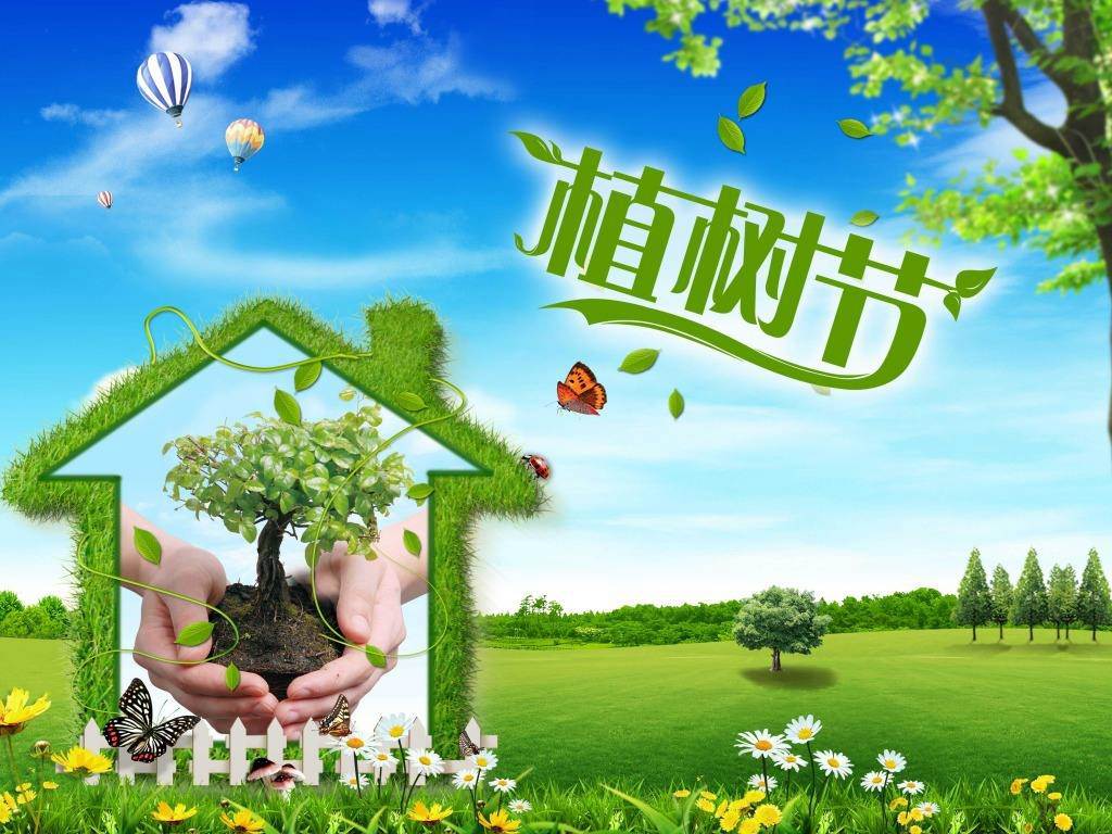 北京現(xiàn)代“智現(xiàn)代，植未來”，你我共建森林邵陽
