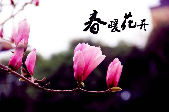 春暖花開 教你春季如何做汽車保養(yǎng)！