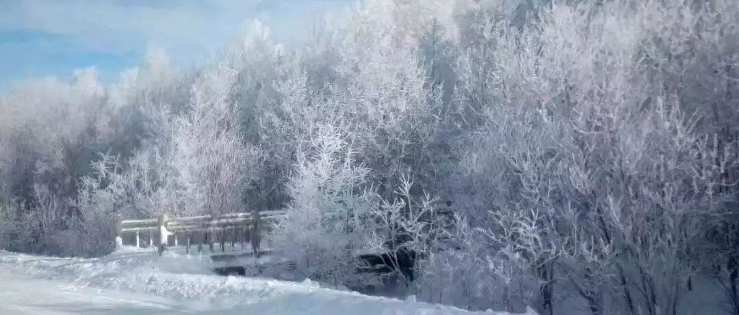 奕行記|奕路向北，駛向雪國阿爾山